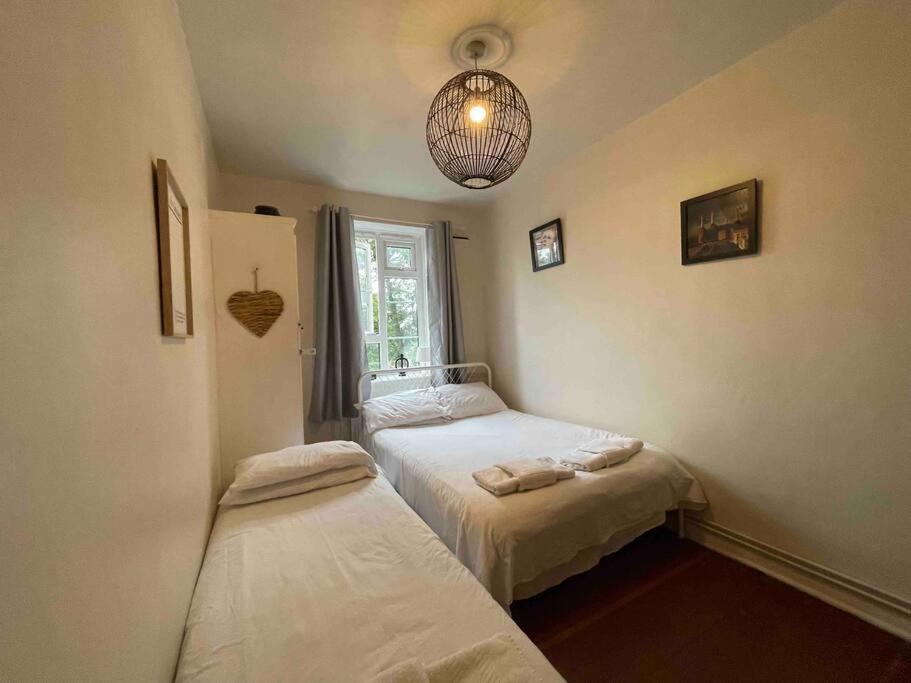 Brixton And Oval Apartment London Eksteriør billede